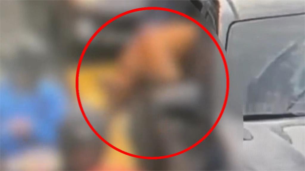 比特犬飼主早就破產! 兒是「法白運動營運長」代父致歉