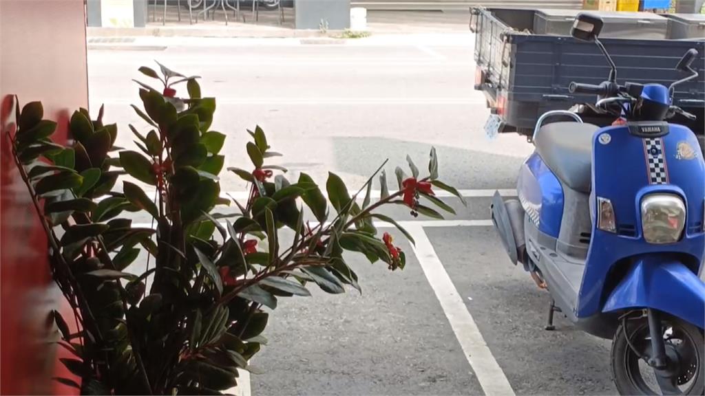 黑狗叼束口袋回家 飼主一看內容物驚呆!急報警