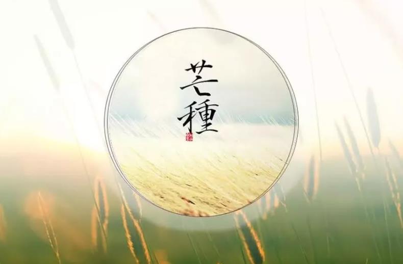 6/5「芒種」節氣到!命理師教你掌握天時 「3招」開啟人生轉機