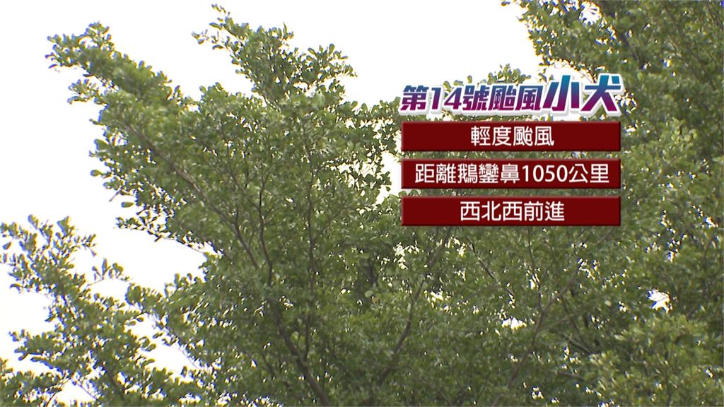 輕颱「小犬」逼近 氣象署:颱風眼不會登台 週二發海警