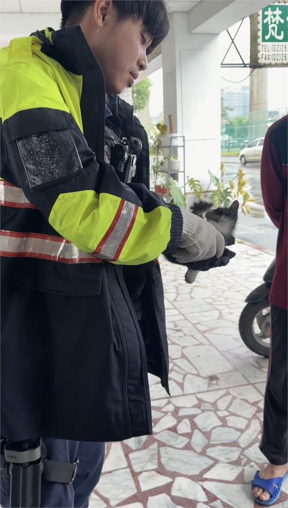 快新聞／颱風天化身喵星人救援隊　鶯歌暖警「機車頭燈」救出受困小貓