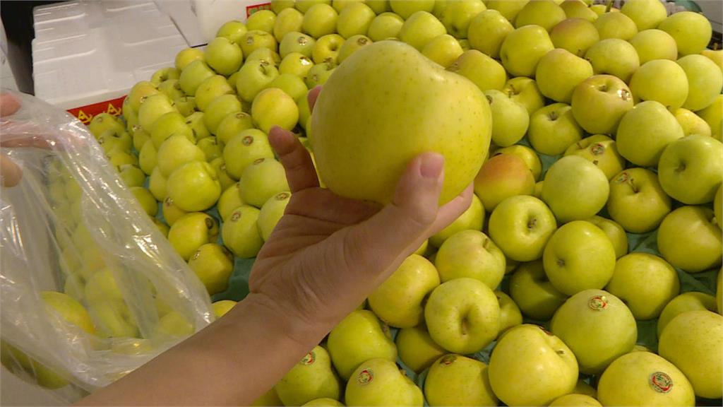 日本青森蘋果又來了　民眾體驗摘蘋果、試吃讚不絕口