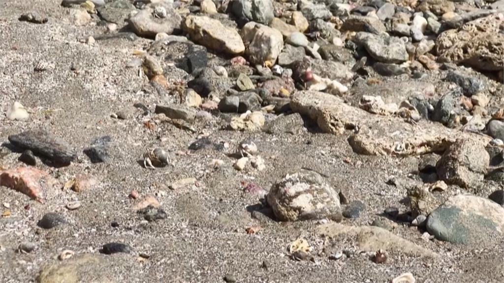 埃及紅海某國家公園進駐渡假村開發商　引發環保團體抗議
