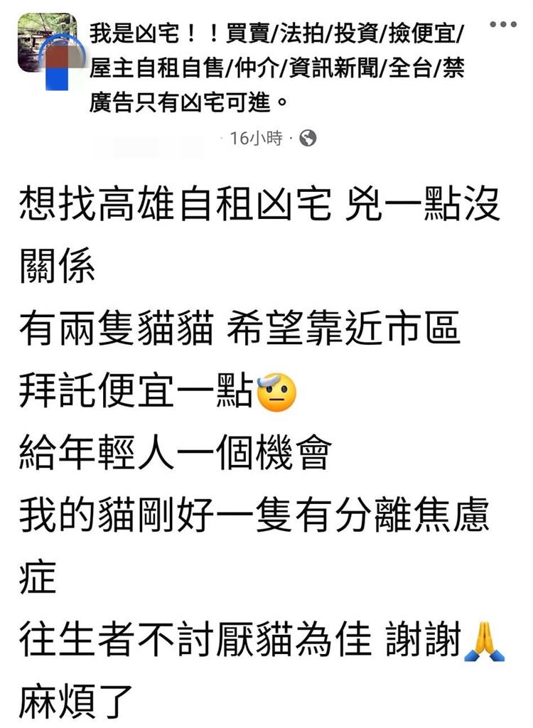 她帶2隻貓想住進凶宅!唯一要求「超奇葩」網笑:阿飄會被馴服的