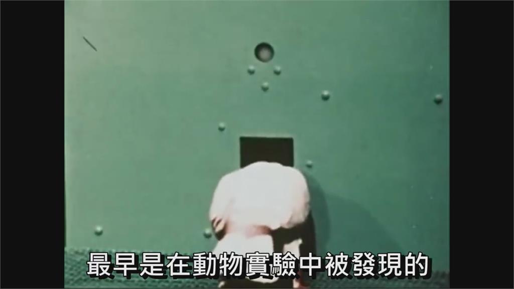 讓你抽不停!達人曝「抽卡遊戲」背後驚人策略 原理竟來自動物實驗