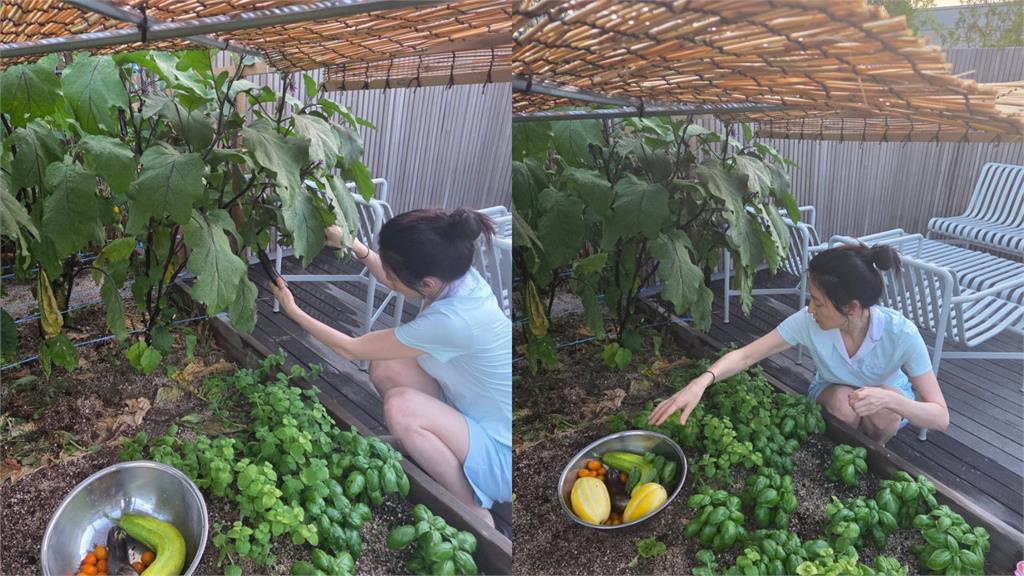 《大長今》54歲資深女星驚變農婦？「素顏蹲地摘菜」凍齡樣貌全曝光