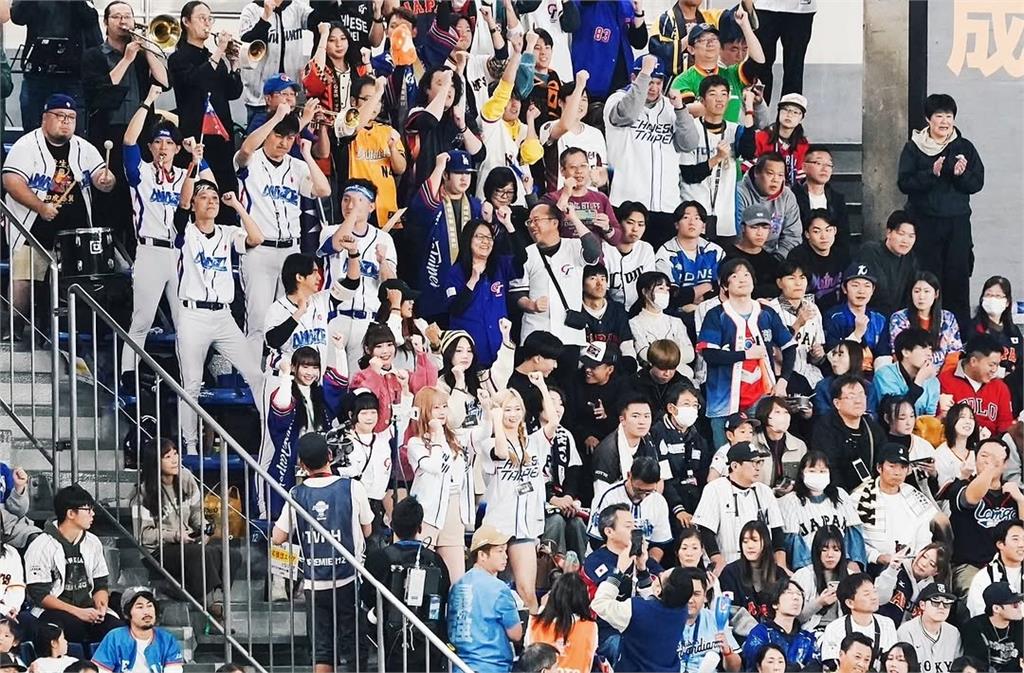 12強賽(影)/在東京巨蛋32撞!啦啦隊夢幻應援 團長崔維斯:不可思議、很驕傲