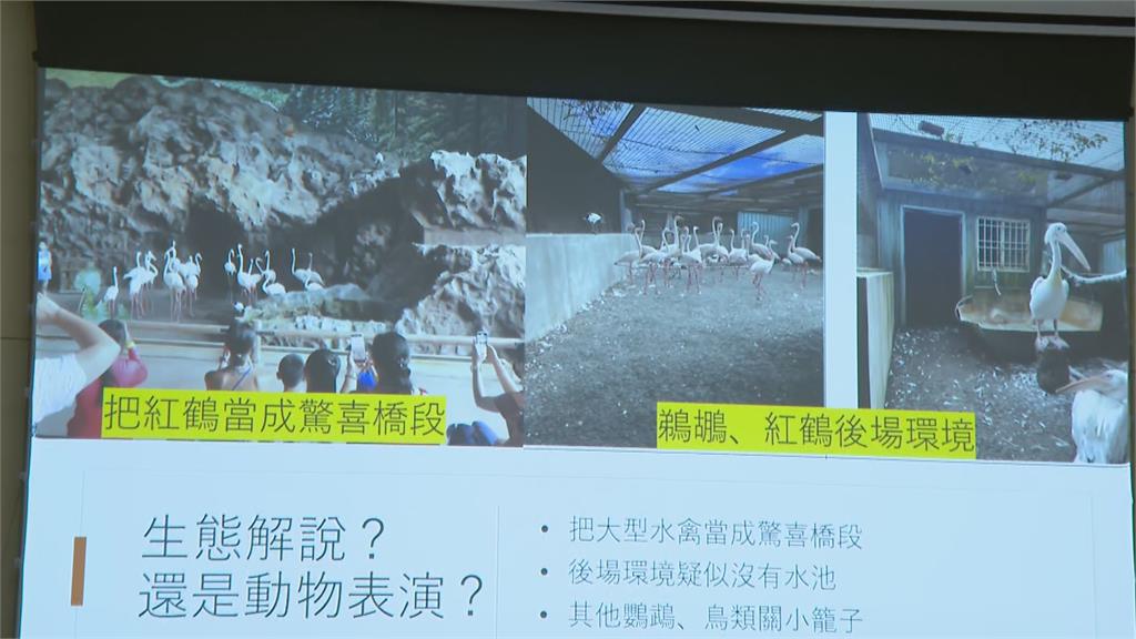 快新聞/動保團體控「18種動物環境未改善」 六福村回應了