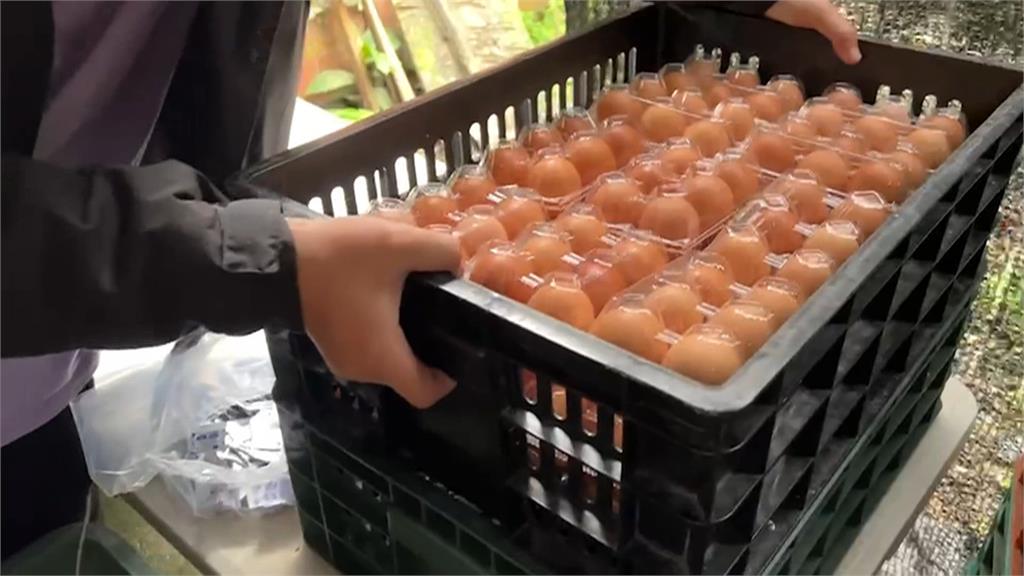 宜蘭地熱谷雞蛋不單賣　只賣蔬菜套餐含6顆蛋