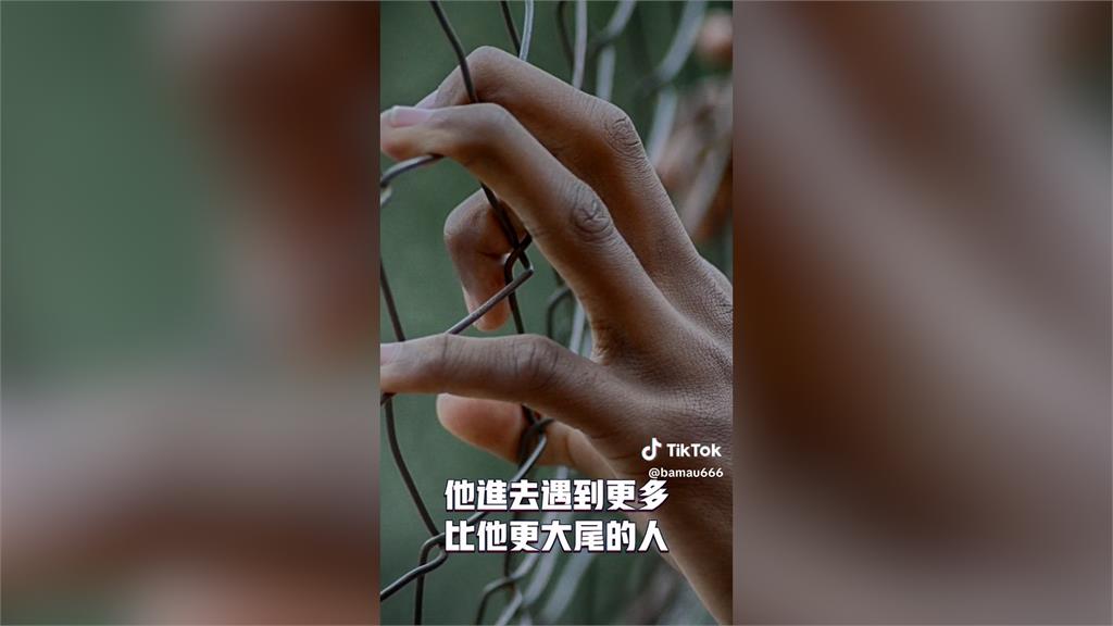 律師談國中命案「感化教育」恐成煉蠱　嘆：服刑出來更大尾