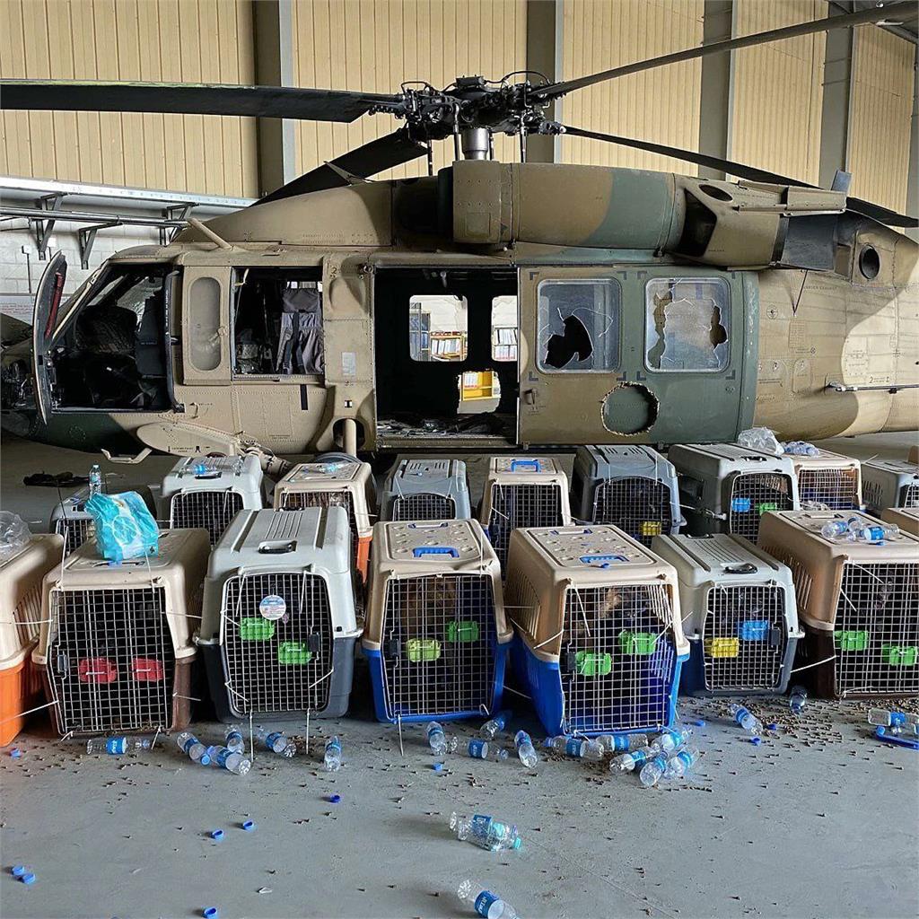 美國宣布完成阿富汗撤離任務！竟還有51隻工作犬遺留在喀布爾機場
