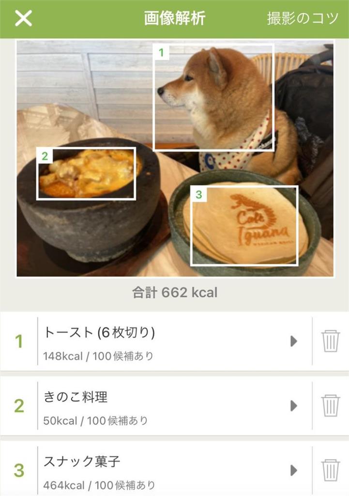 真．柴犬吐司！側腰「炸3層肉」肥美曝　減肥APP認證：不是虛胖