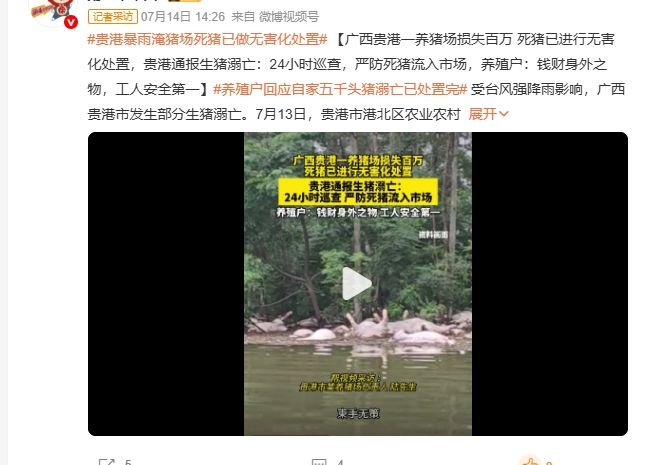 梅莎颱風重創中國廣西！水退驚傳「千具屍體漂水面」惡臭瀰漫　官方急回應了