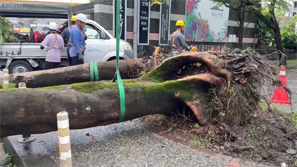 雨彈狂襲！基隆40公分落石砸車　宜蘭老樹應聲倒地
