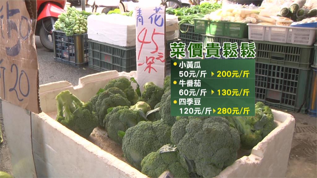豪雨重創產區!一放晴葉菜又腐爛 菜價狂飆