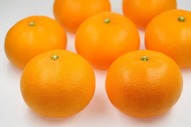 日本迎接柑橘產季　「瀨戶香蜜柑」拍出驚人天價