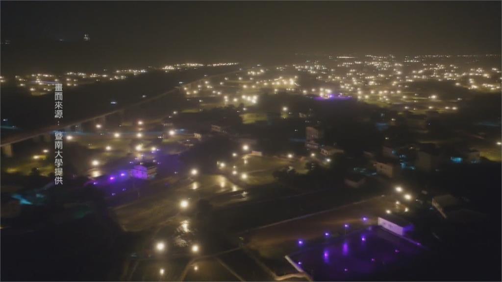 年省70%電費! 夜間節電LED燈照護筊白筍