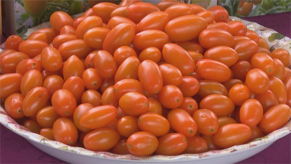 番茄防癌「關鍵2步」沒做營養恐流失！醫授「3道家常菜」讓你吃進完整茄紅素