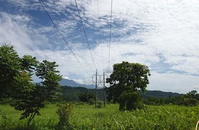 花蓮年底最「金」彩法拍! 他靠AI得標「高純度黃金」