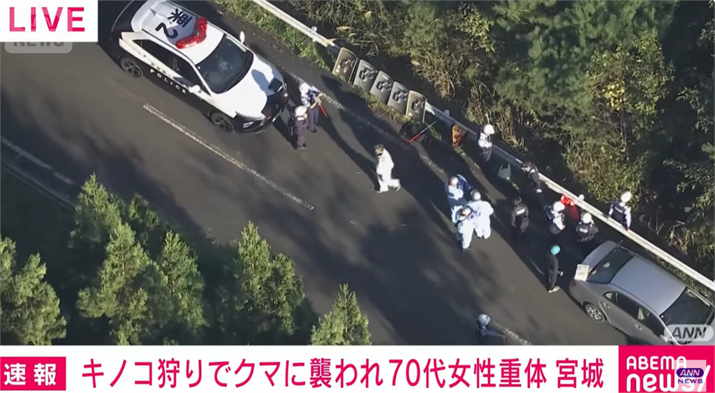 日本山林野熊大暴走!連兩天「奪2採菇長輩命」同行一人仍失蹤中