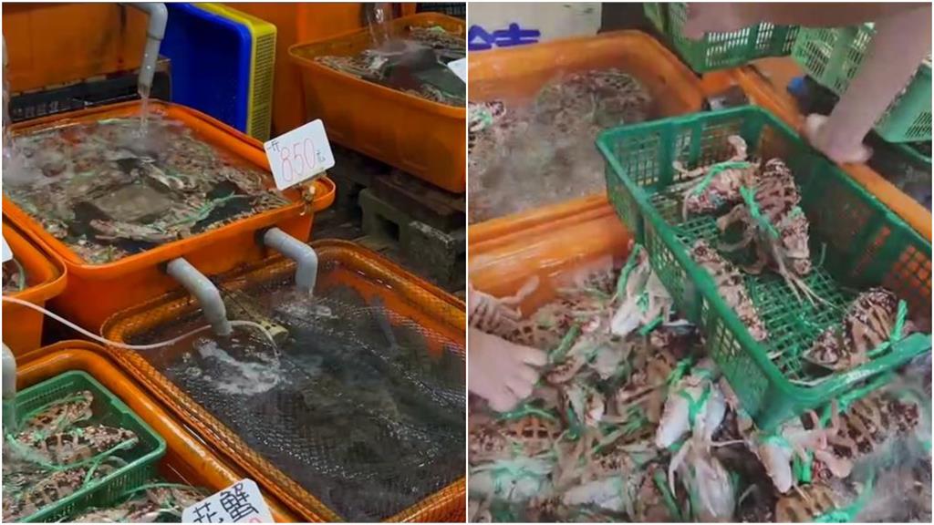 金山海產店「4隻花蟹破6千」不算盤!業者曝2原因「隱藏消費」被抖出