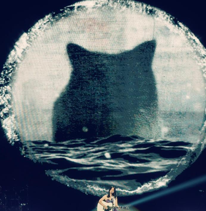 快新聞／昔日戀人鬧上法院！備份版權爭議　鍾成虎控陳綺貞6大罪皆不起訴