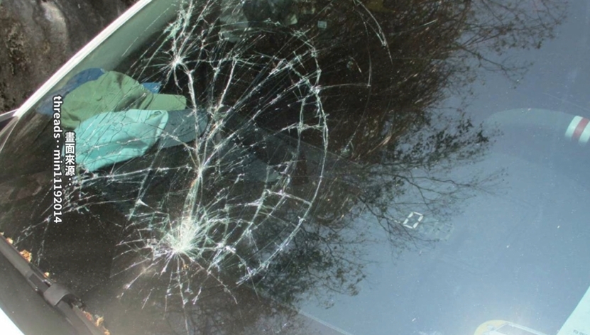 台8線谷關大樹從天降! 1車載3人遭砸險受困擬提國賠