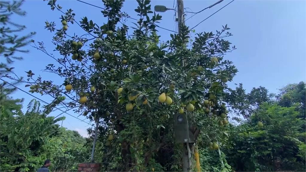 男遭詐上千萬失蹤1年多 中秋節被發現已成白骨