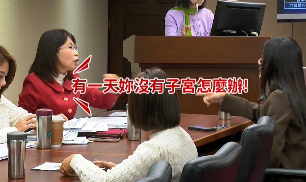 人工生殖法「代孕脫鉤」修法 陳昭姿開轟吳沛憶、要求邱泰源道歉