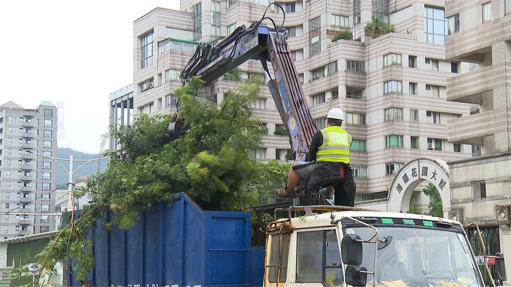 颱風後應放「修復假」? 商總理事長:又沒搬樹要什麼假