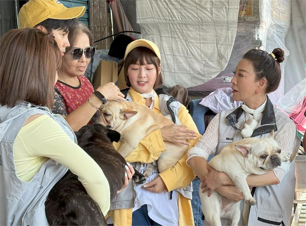 《綜藝新時代》體驗緊張感十足的實境吹箭捕犬任務! 觀摩狗狗結紮手術壯壯差點暈倒