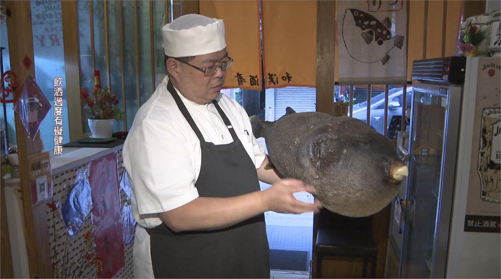 遠赴日本苦學三年 鮮甜河豚魚肉嫩、魚頭充滿膠質