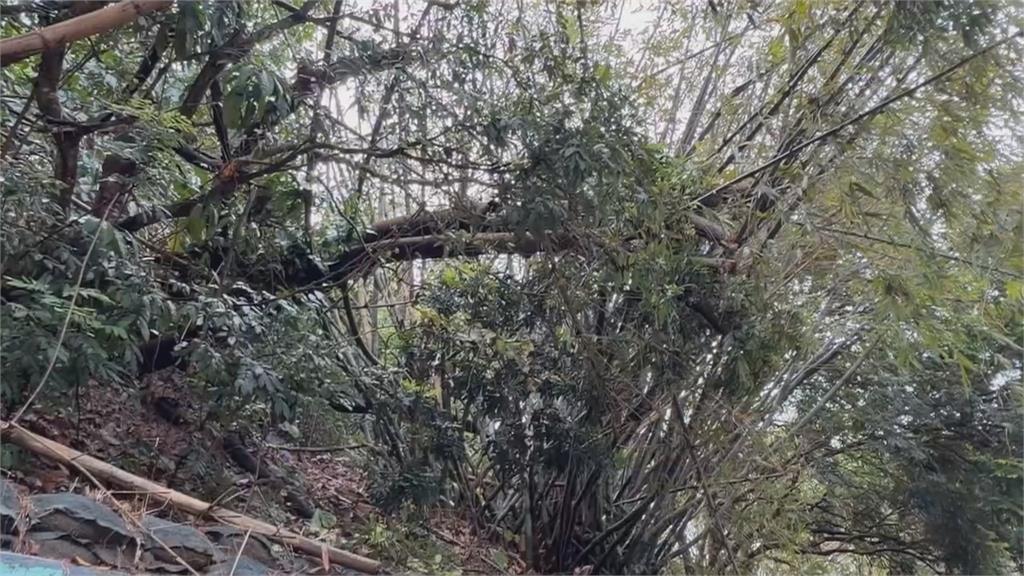 搶修工程尚未完工 霧峰暗坑巷不敵豪雨便道又坍