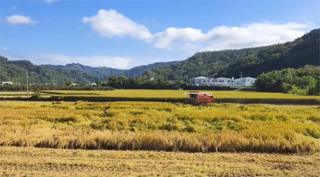 康芮颱風過境全台水庫飽到打嗝！鯉魚潭水庫「鋸齒堰」美景再現