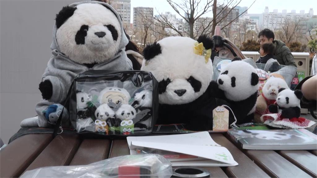 上野動物園貓熊曉曉蕾蕾將返中 最後一天公開露面