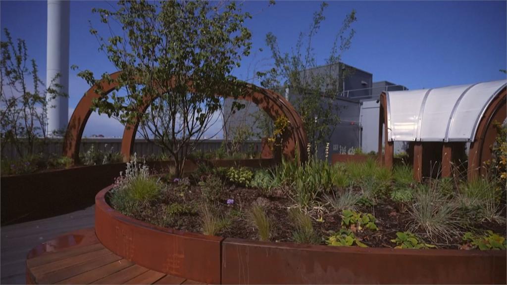 全英首座屋頂加護病房花園 助重症病患康復