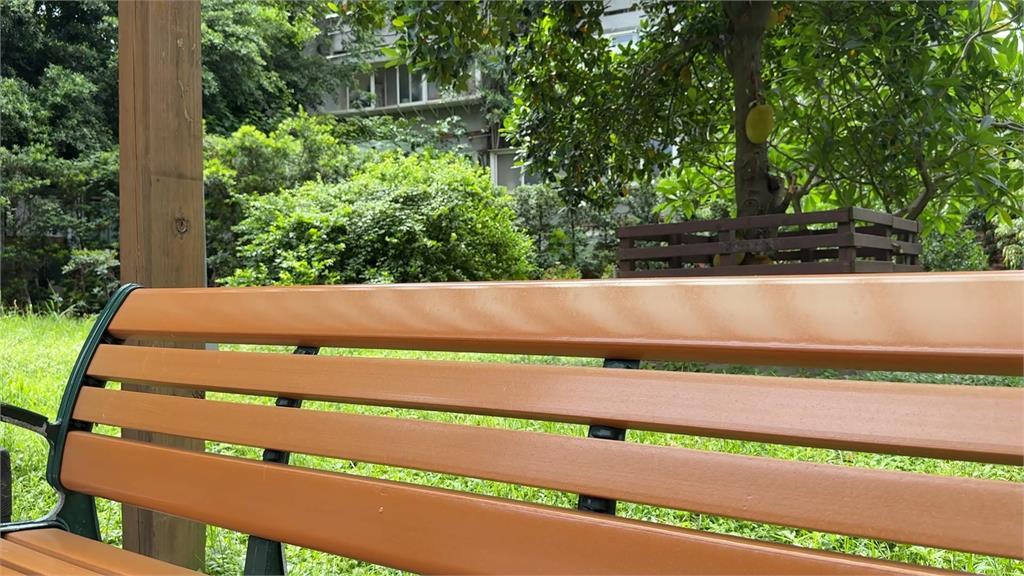 民眾在板溪里公園遭「攻擊頭部」 警初判有人持BB槍遠處射擊