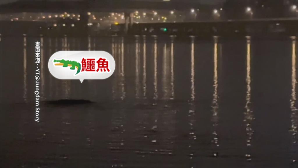 南韓驚見「漢江怪物」? 網紅直擊畫面曝光