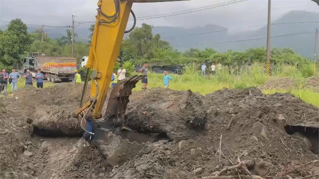 山老鼠集團挖走值400萬漂流櫸木　埋農地裡伺機出售　　警逮11人