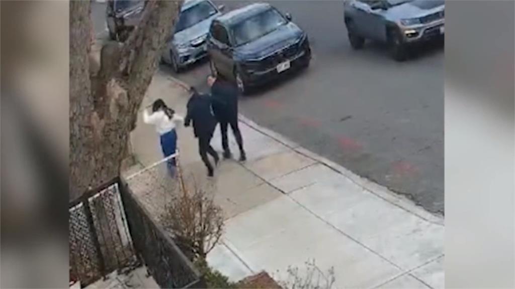 紐約路樹無預警倒塌 一家人驚險躲死劫全都錄