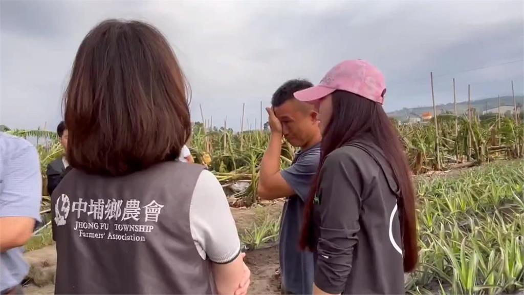 青農向農會貸款5百萬種香蕉　遇颱風全毀難過落淚