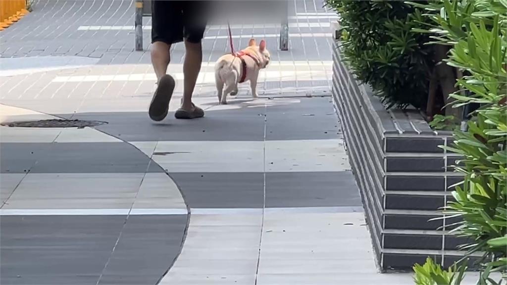 哪裡來的？台中烏日高樓層住戶　疑遭鋼珠彈射擊砸窗