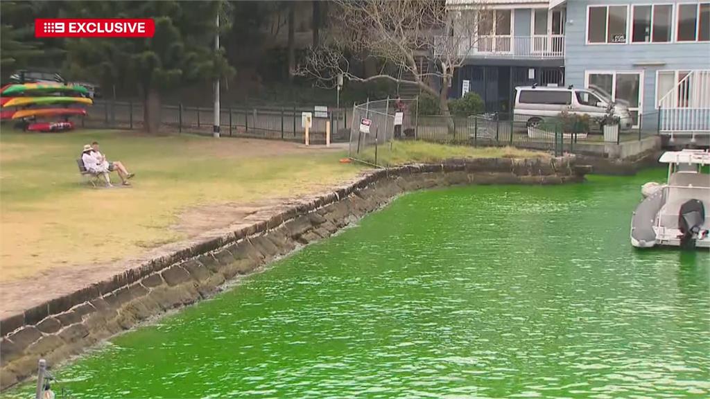 澳洲雪梨港海水突變「螢光綠」　當局檢測：無毒常用染料