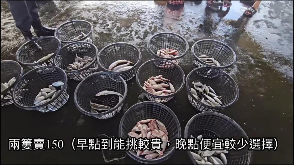 撿便宜！高雄觀光漁港挑對時間採買　一簍「現流魚貨」超驚人價格曝光