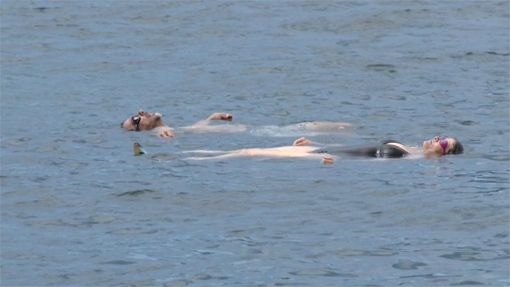 法國尼斯水下音樂會　鯨魚、海豚鳴唱交織海洋交響曲