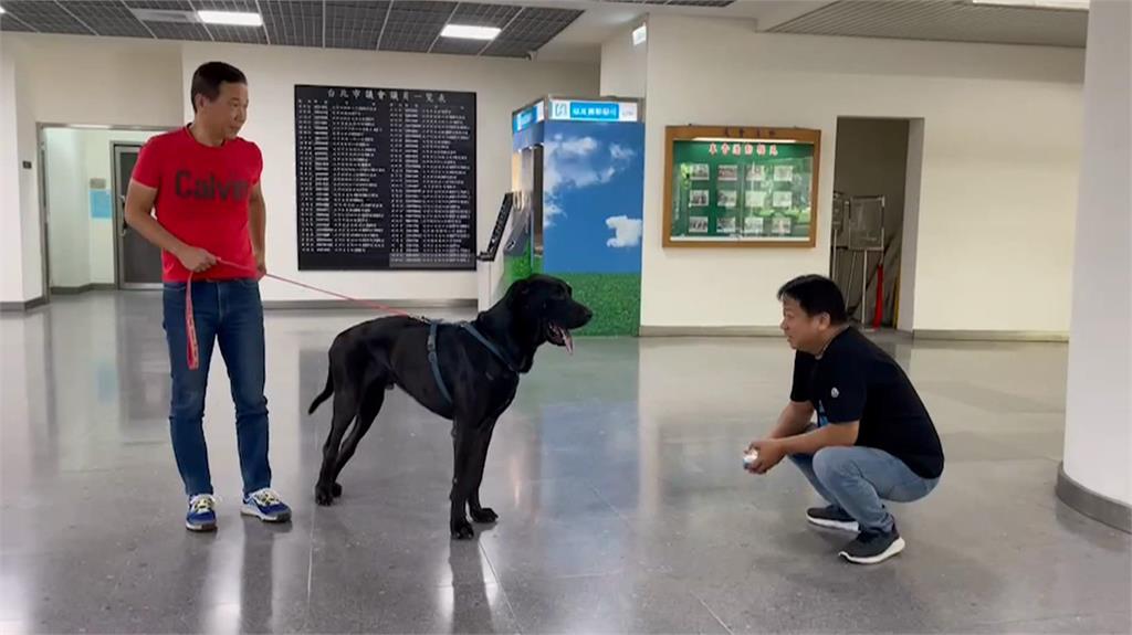 快新聞/