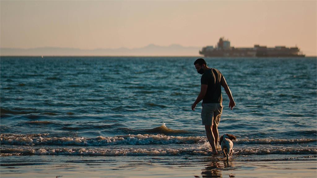 九九重陽是「大凶」！命理師示警「4生肖」易沖煞、「6地雷」禁踩：忌說這1句