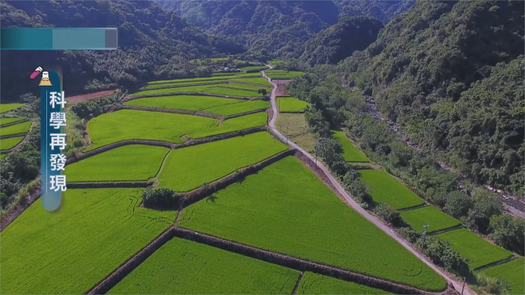 全球加速暖化 曬田及省水成重要關鍵