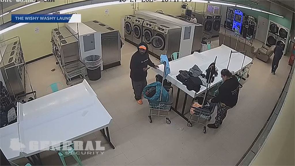 美國北卡野鹿暴衝洗衣店 撞飛民眾再破窗大鬧