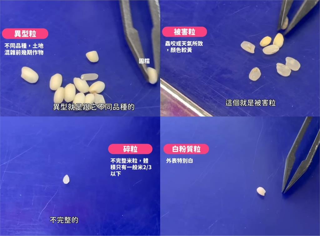 知名網紅開箱超狂「夢幻職業」！月薪8萬福利爆表　他曝默默買下十間房